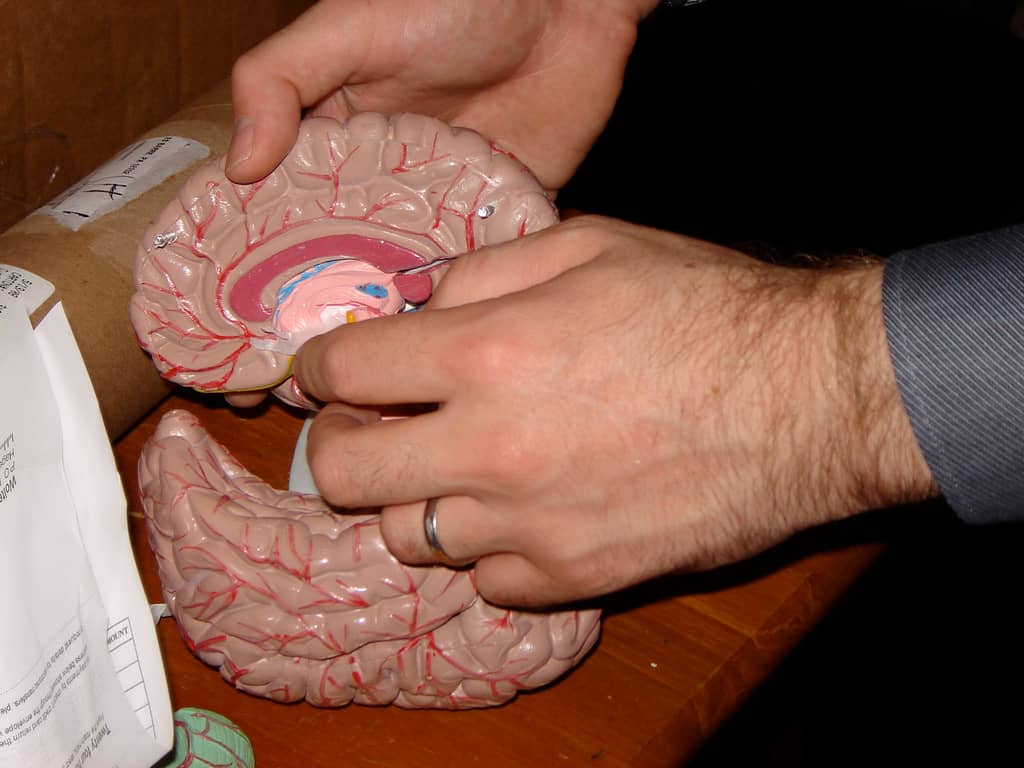 Parkinson's Disease