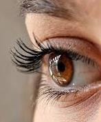 eye
