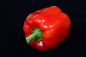 vegetable