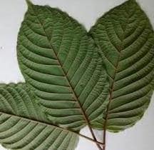 Kratom