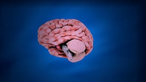 Absence of dopamine 