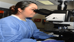 excellent surgeon 