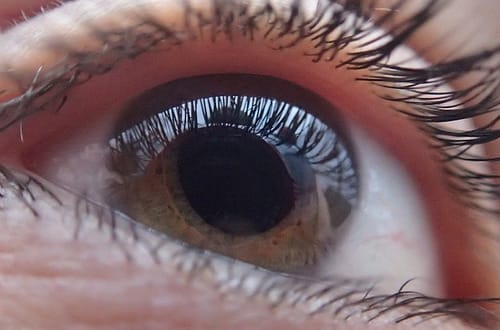 brown eye