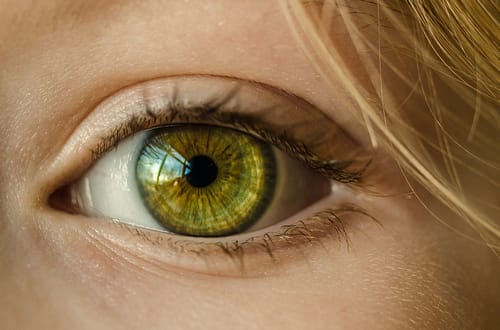 iris