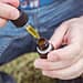 cannabis oil