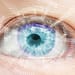 eye