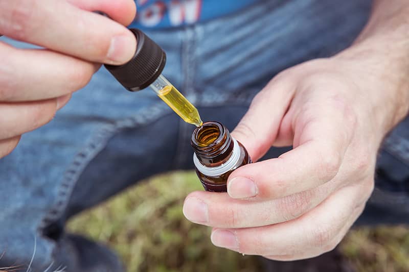 cannabis oil