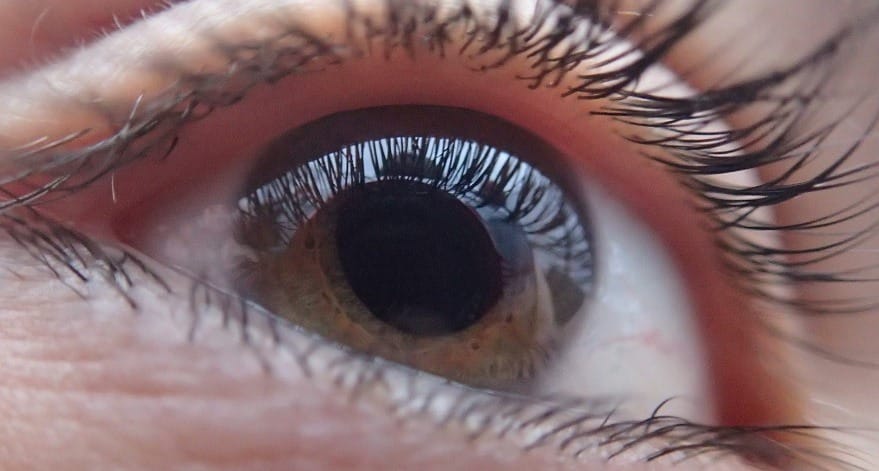 brown eye